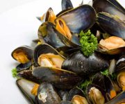 Moules marinières 6